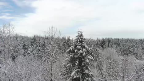 Ariel-Aufnahmen-Von-Schneebedeckten-Landschaften