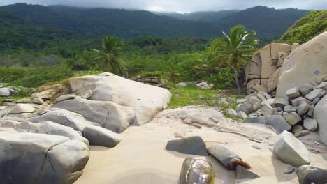 Palm-Tree-on-Rocky-Shoreline-with-Ocean-Waves-in-Santa-Marta,-Colombia