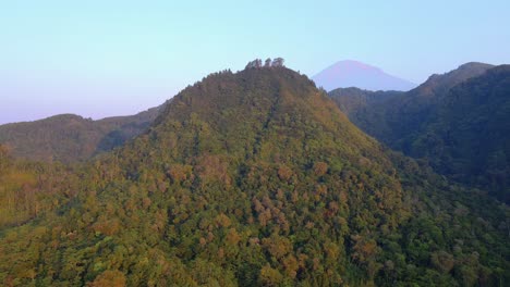 steep hillsides covered in dense forest, indonesia