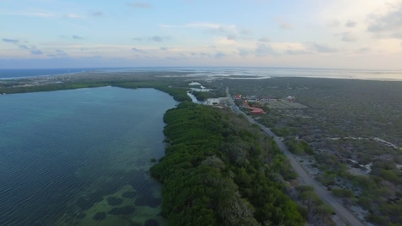 la laguna y los manglares de lac bay en bonaire, antillas holandesas