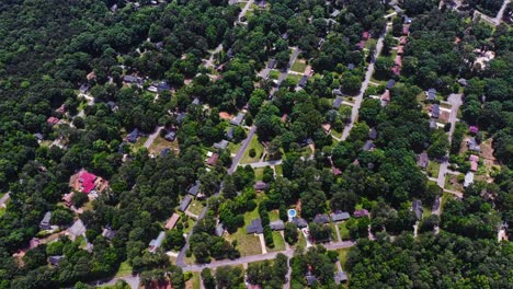 fotografía aérea de arriba hacia abajo del vecindario de stone mountain con árboles verdes durante un día soleado, georgia, estados unidos - área suburbana de la ciudad de atlanta