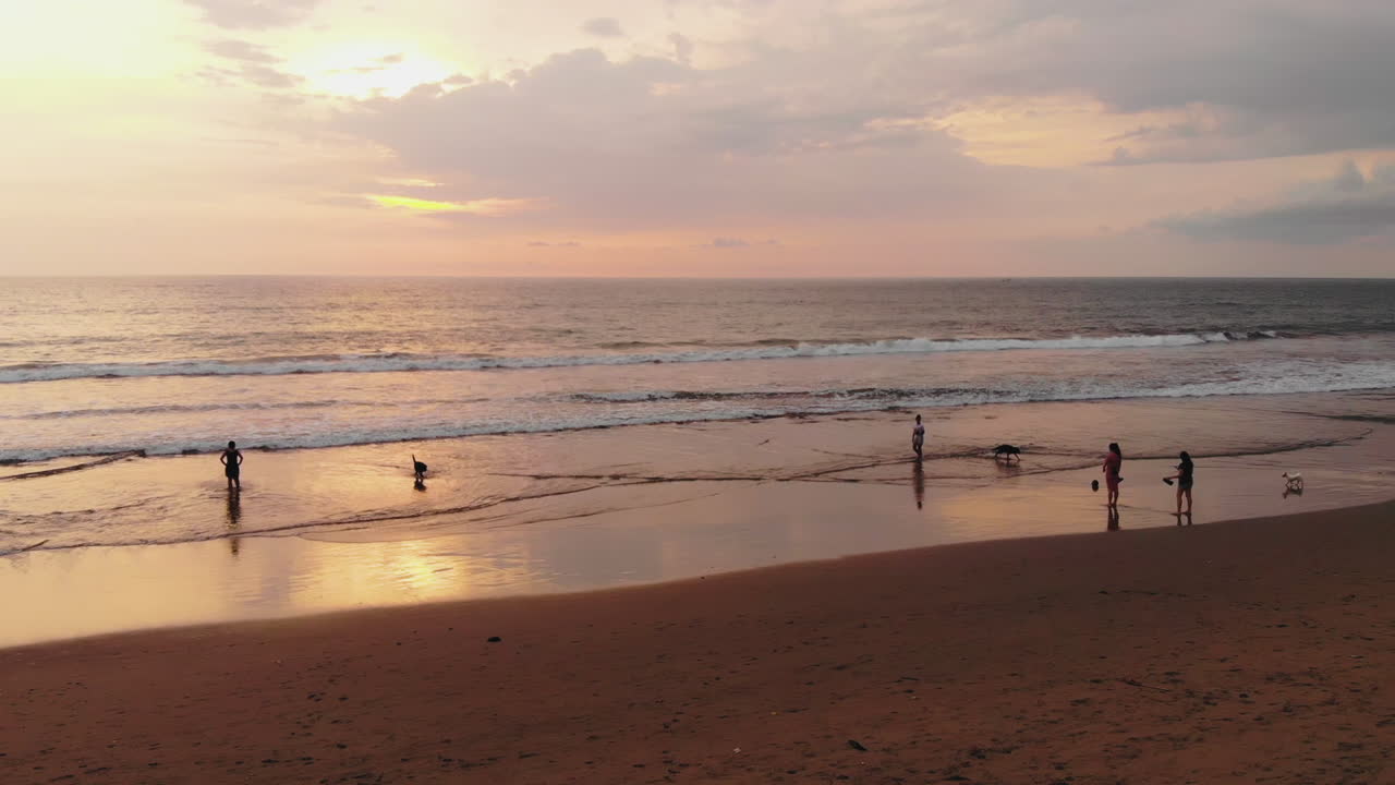 Slow motion footage of dogs and their owners having a good time at the beach during sunset