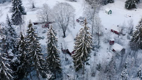 tomada aérea, en órbita, por un dron, alrededor de una casa nevada, en medio de un bosque cubierto de nieve, en una noche oscura y nublada de invierno, en lammi, kanta-hame, finlandia