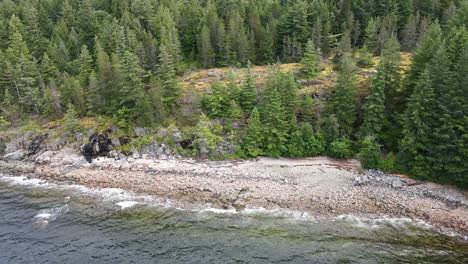 Aerial-backwards-shot-of-rocky-beach-with-fir-trees-on-hill-in-Canada