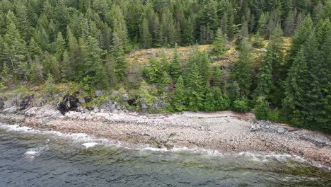 aerial backwards shot of rocky beach with fir trees on hill in canada