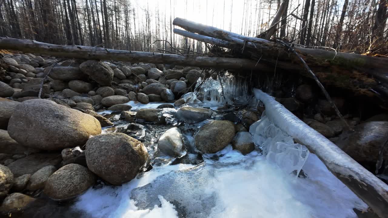 Icy River in a Winter Forest