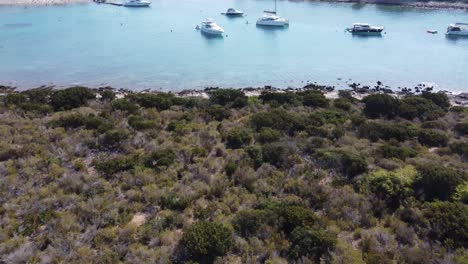 Boats-and-Yachts-anchored-in-Blue-Lagoon-Bay-of-Veliki-Budikovac-Island,-Croatia