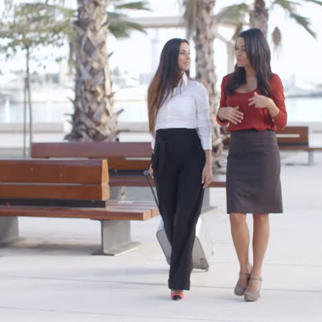 Two-elegant-ladies-walking-and-chatting