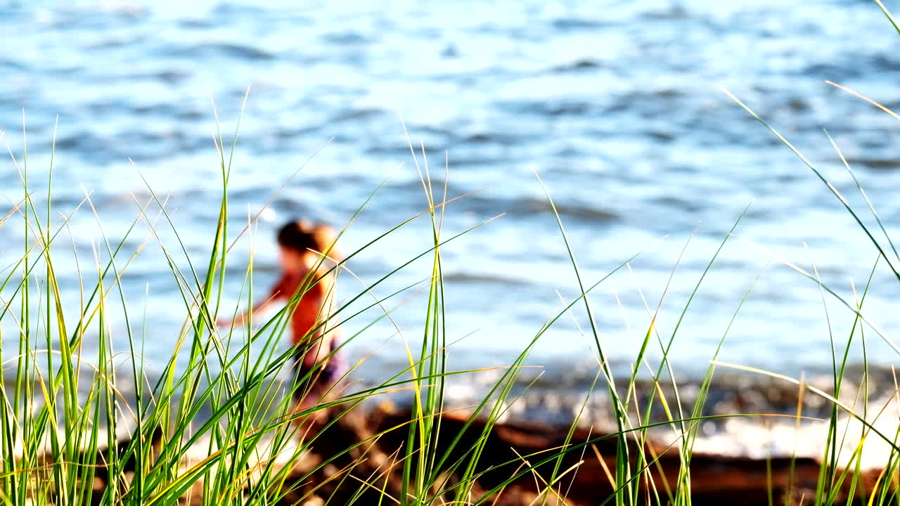 Shallow focus shot of tall green coastal vegetation with preschooler in background failing at a handstand on the beach