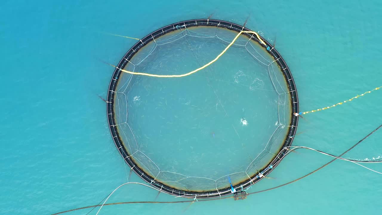 노르웨이에서 연어  ⁇ 시를 하는 공중 촬영