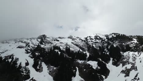 Paisaje-De-Montaña-Rocosa-Nevada-Con-árboles