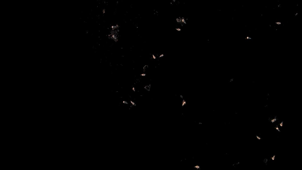 Rising drone shot of seagulls sitting on black icy water with camera straight down