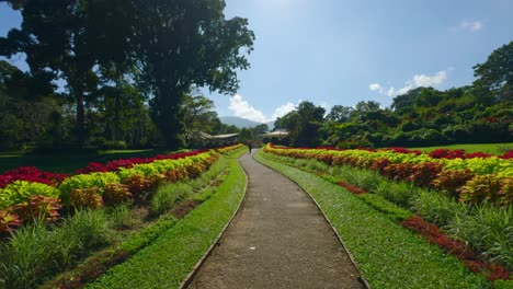 hermoso sendero de jardín con flores de colores