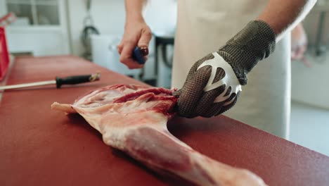 butcher trimming fat of raw lamb meat on workbench wearing butchers glove