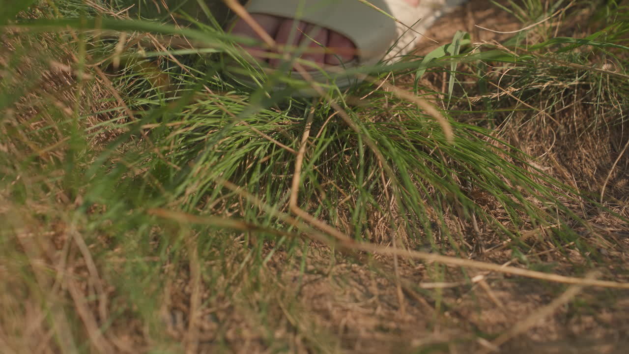 Close up of woman foot in cream sandal stepping through grassy hillside path, green gown swaying gently, dry soil trail and wild grass softly lit by golden sun