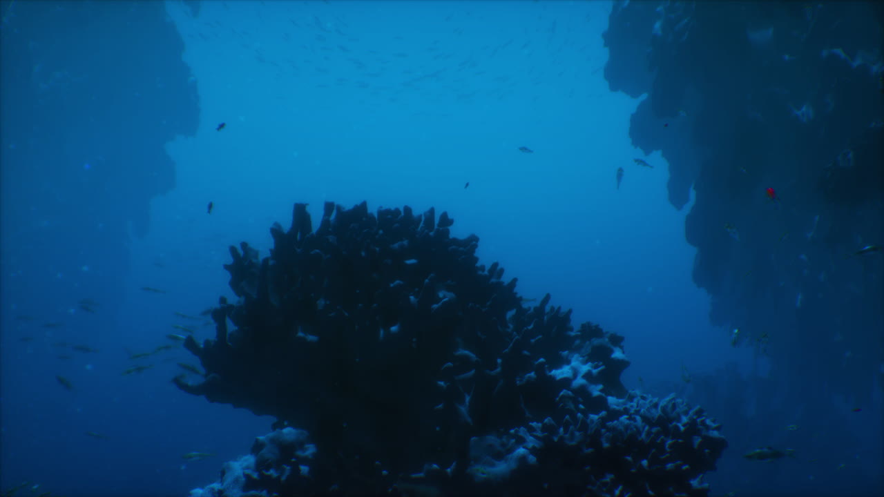 un encantador mundo submarino que muestra la vibrante vida marina y los corales