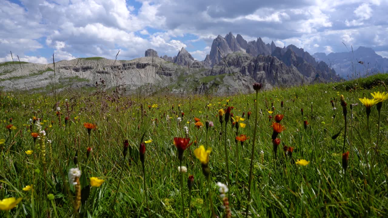 parque natural nacional de tre cime en los alpes dolomitas. la hermosa naturaleza de italia.