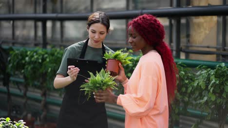 woman florist with tablet helping female client to choose plants in flower shop