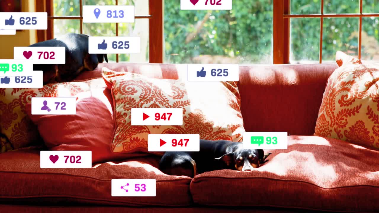 집에서 소파에 누워있는 두 개의 개에 대한 여러 소셜 미디어 아이콘의 애니메이션