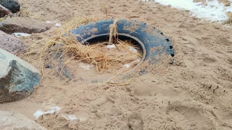 dumped non recycled automobile tyre on clean beach