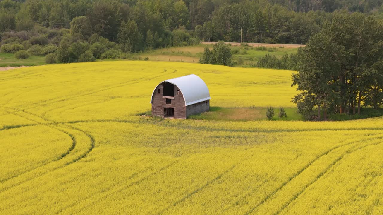 카놀라 로 둘러싸인 농장 의 공중 사진