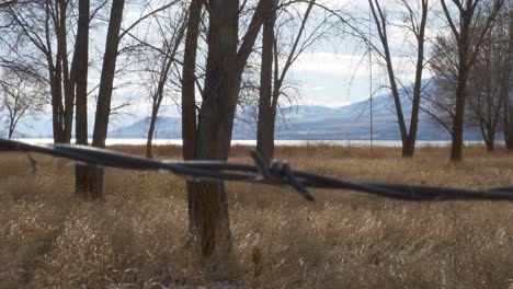 private property fenced in by barbed wire out of focus in the foreground with trees, lake and mountains in the forbidden background