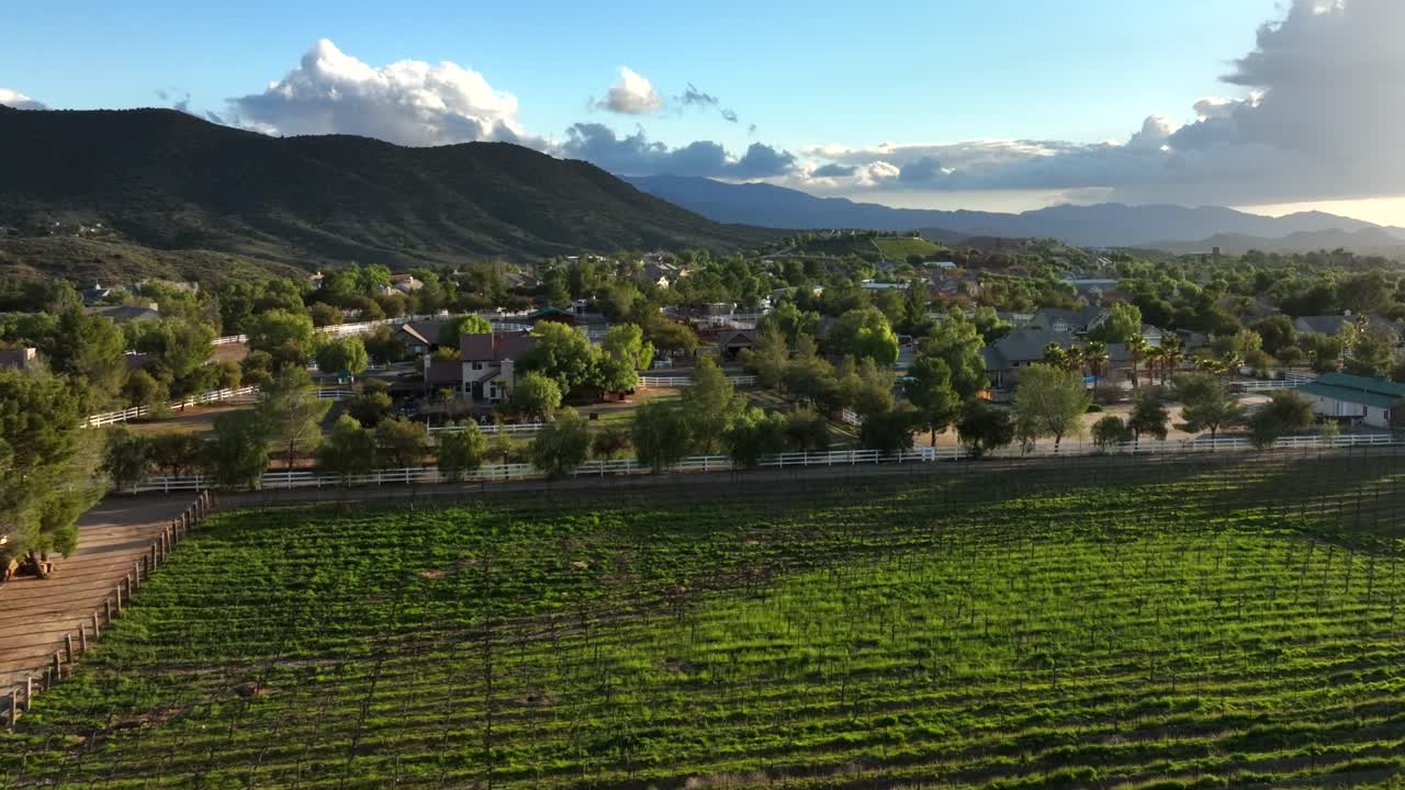 ゴールデンアワーの陽光が降り注ぐカリフォルニアのブドウ畑と田園の村のドローン映像。