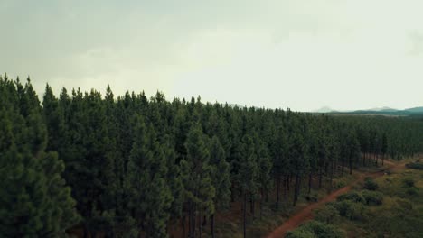 Impresionante-Vista-Aérea-De-Los-Bosques,-Vuelo-De-Drones-Que-Revela-Un-Vasto-Horizonte-Con-Bosques-Y-Montañas-En-La-Distancia,-Concepto-De-Naturaleza-Intacta