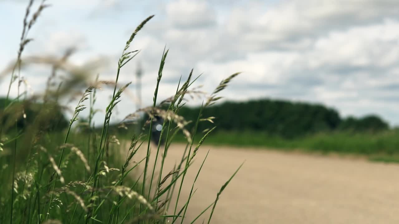 검은색 오토바이에 검은색 옷을 입은 남자가 정말 빨리 지나가는 동안 길가에 있는 대마초의 슬로우 모션 영상