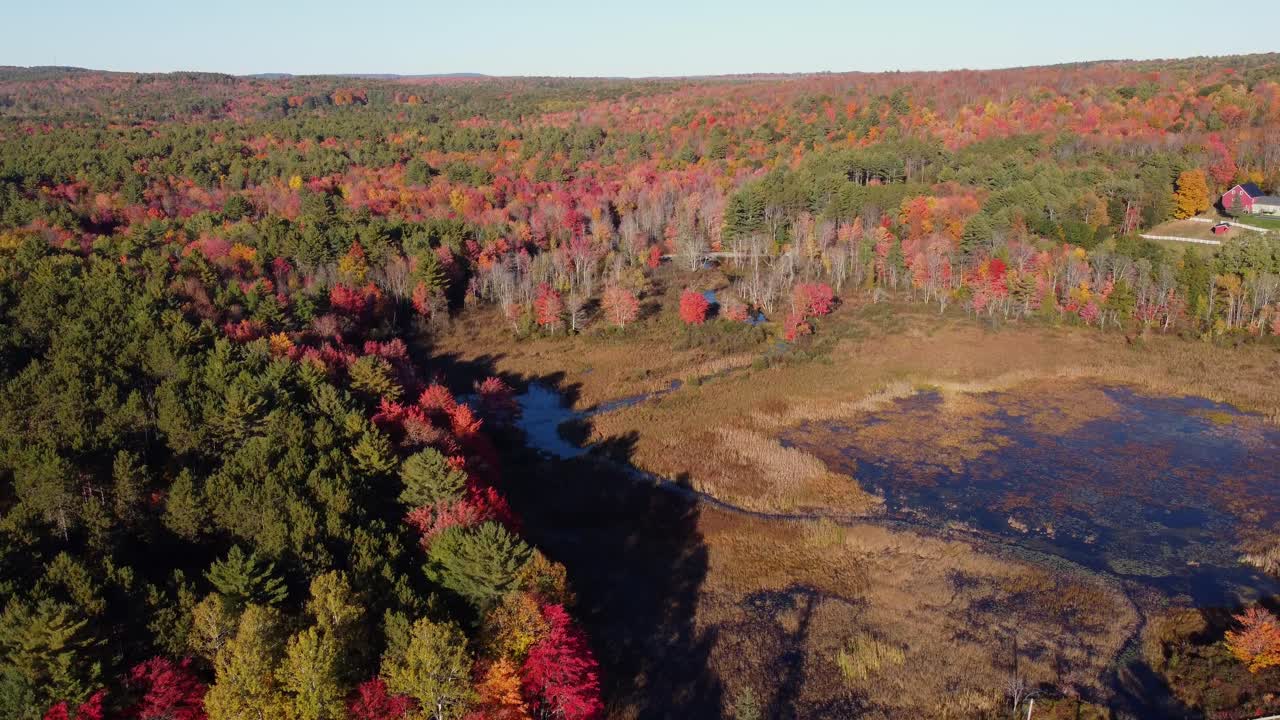 panorámica alta de un vasto bosque y un estanque en otoño