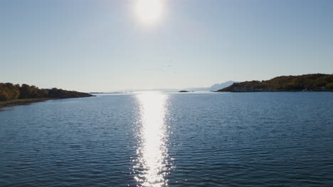 herons flying over water reflecting sunlight in senja island, norway - aerial drone shot