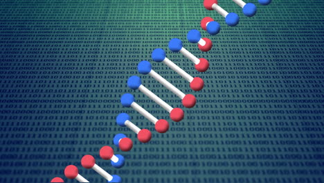 animation des dna-strangs, der über die binäre kodierung verarbeitet wird
