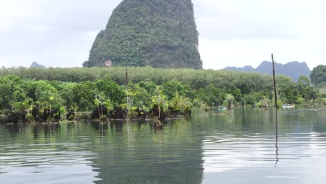 agua tranquila que refleja la vegetación exuberante y las montañas