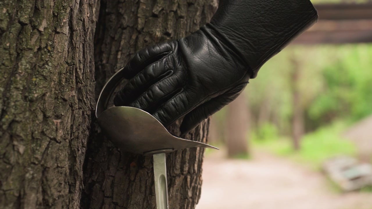 Primo piano di una spada con lama curva e impugnatura in legno conficcata nella corteccia di un albero mentre una mano guantata si avvicina. Il guanto è nero, il soggetto indossa abiti scuri. Lo sfondo mostra vegetazione sfocata e un sentiero.