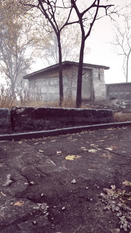 abandoned building in foggy forest