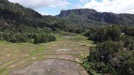 aerial view of lush rice terraces and mountains