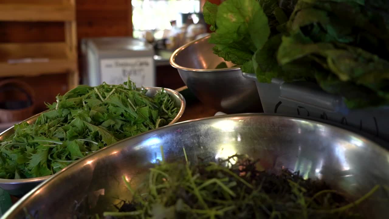 varios verdes se sientan en tazones