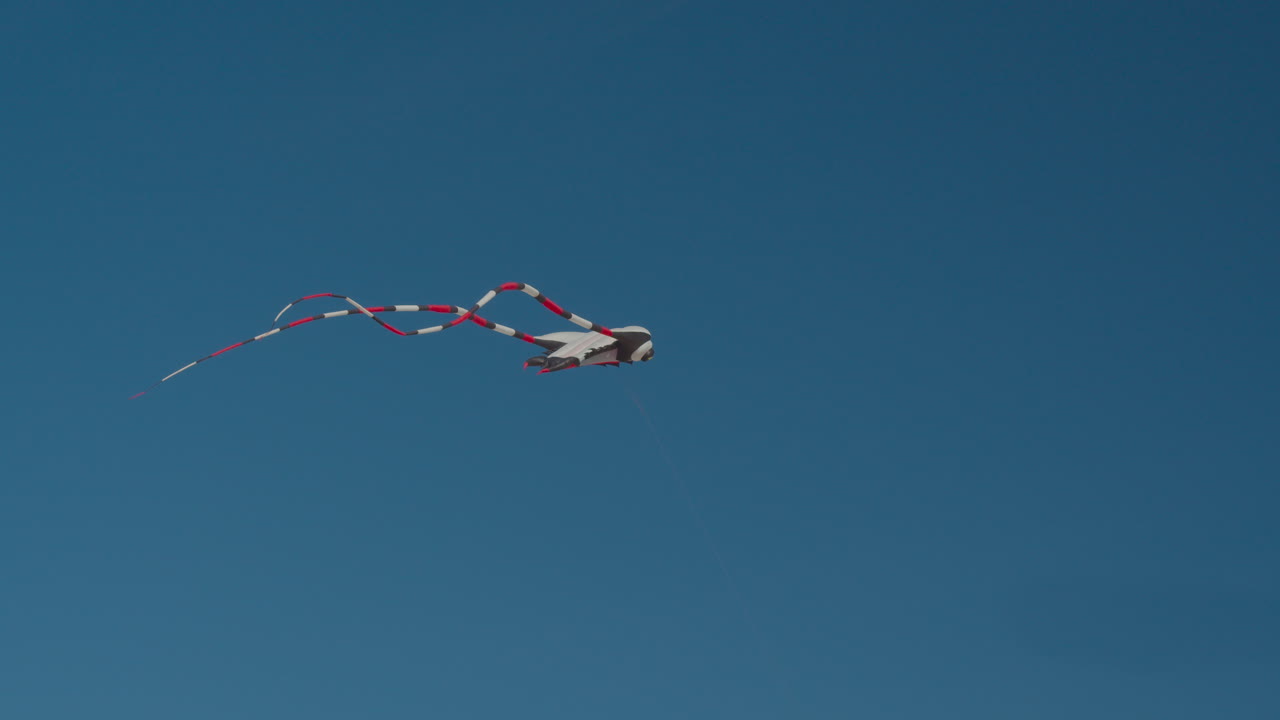 긴 줄무 안테나 를 가진 날개