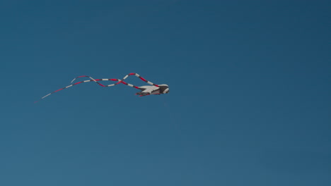 a kite with long striped antennas