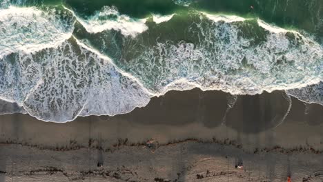 An-aerial,-top-down-view-directly-over-Hollywood-Beach,-Florida-on-a-sunny-day