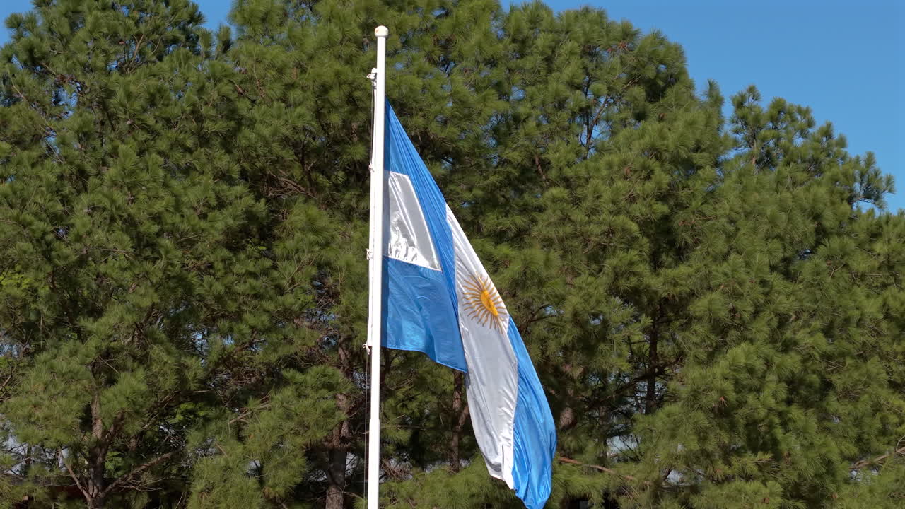 Argentine flag waving surrounded by trees