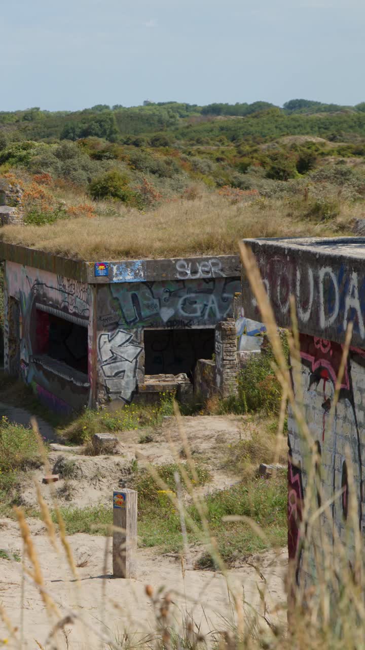 Foto statica diurna di un bunker di cemento coperto di graffiti tra dune sabbiose e vegetazione fitta, Dunkerque