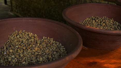 slow motion revealing shot of the expensive kopi luwak coffee beans in a red bowl for delicious delicacy coffee on bali in indonesia