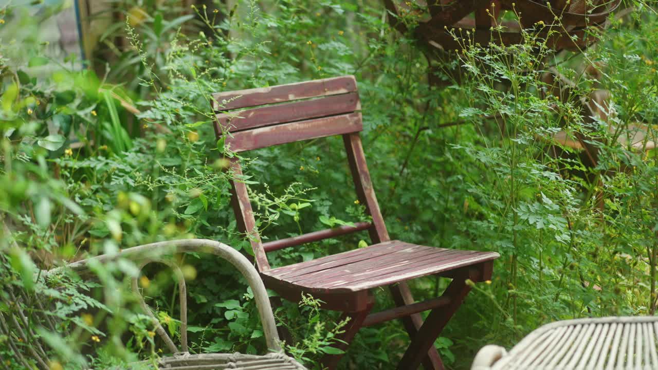 Old wooden vintage chair standing in the middle of bushes in garden