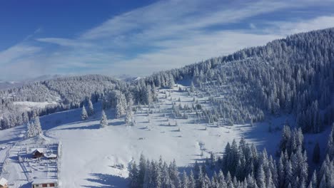 Aerial-winter-view-of-Bucegi-Mountains,-snow-covered-pines-under-blue-sky