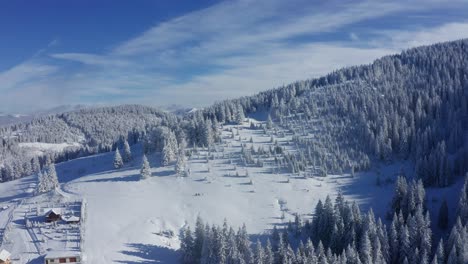 aerial winter view of bucegi mountains, snow-covered pines under blue sky