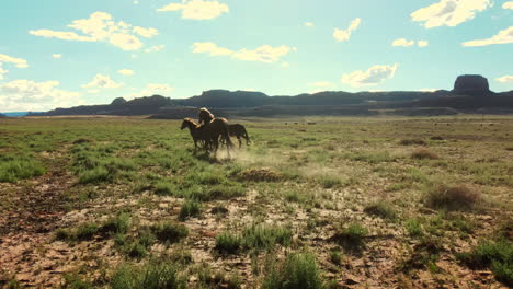 hermosas imágenes de drones de caballos salvajes en arizona