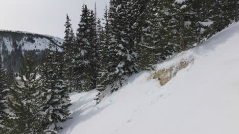 Tiro-De-árboles-Cubiertos-De-Nieve-En-Las-Montañas-Rocosas-De-Colorado