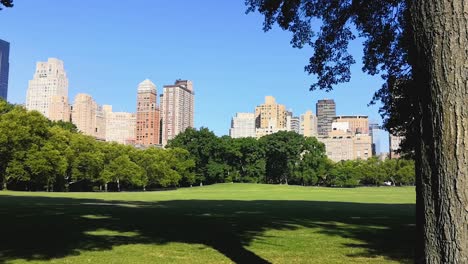 a slow pan from left to right of the green field in the middle of central park, new york in the summer. skyscrapers of manhattan can be seen in the background.