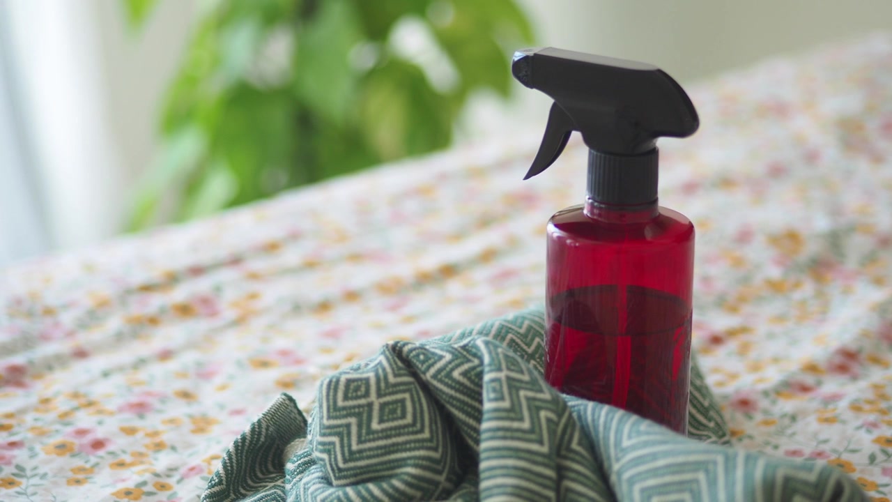 Spruzzino rosso su un letto con una coperta verde